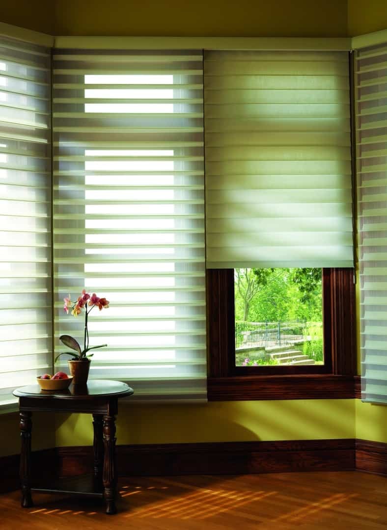 Silhouette® Window Shadings Brunswick, Georgia (GA) smart and striking window treatments with linear patterns