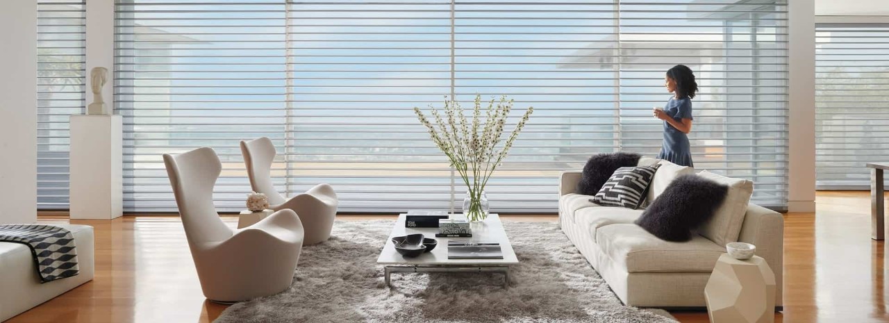 Best shades for large windows, Hunter Douglas Designer Banded Shades near Brunswick, Georgia (GA)