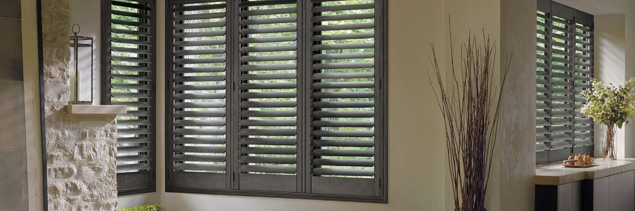 Modern Black Window Shades, Hunter Douglas Design Studio™ Roller Shades near Brunswick, Georgia (GA)